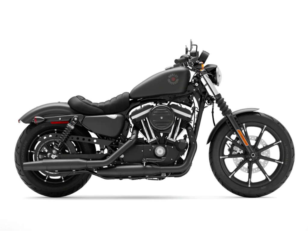 2022 Harley-Davidson Iron 883 [4]